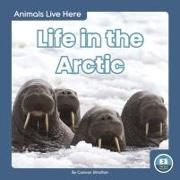 Life in the Arctic