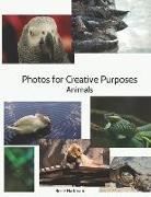 Photos For Creative Purposes: Animals