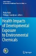 Health Impacts of Developmental Exposure to Environmental Chemicals