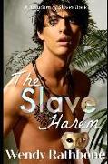 The Slave Harem: A Kingdom of Slaves Book