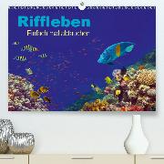 Riffleben - Einfach mal abtauchen(Premium, hochwertiger DIN A2 Wandkalender 2020, Kunstdruck in Hochglanz)