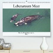 Lebensraum Meer - Heimat von Walen, Haien, Pinguinen...(Premium, hochwertiger DIN A2 Wandkalender 2020, Kunstdruck in Hochglanz)