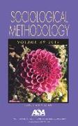 Sociological Methodology: V49.1