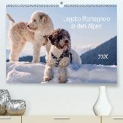 Lagotto Romagnolo in den Alpen 2020(Premium, hochwertiger DIN A2 Wandkalender 2020, Kunstdruck in Hochglanz)