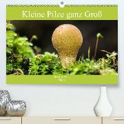 Kleine Pilze ganz Groß(Premium, hochwertiger DIN A2 Wandkalender 2020, Kunstdruck in Hochglanz)