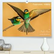 Faszination - Wildlife(Premium, hochwertiger DIN A2 Wandkalender 2020, Kunstdruck in Hochglanz)