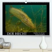 Der Hecht - Tauchen Sie ab mit Daniel Hohlfeld(Premium, hochwertiger DIN A2 Wandkalender 2020, Kunstdruck in Hochglanz)