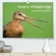 Unsere Wiesenvögel - Bezaubernde Schönheiten(Premium, hochwertiger DIN A2 Wandkalender 2020, Kunstdruck in Hochglanz)
