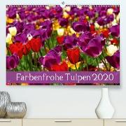 Farbenfrohe Tulpen 2020(Premium, hochwertiger DIN A2 Wandkalender 2020, Kunstdruck in Hochglanz)