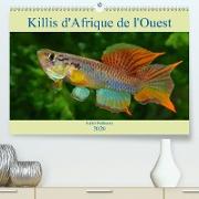 Killis d'Afrique de l'Ouest(Premium, hochwertiger DIN A2 Wandkalender 2020, Kunstdruck in Hochglanz)
