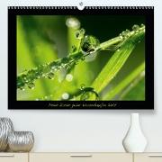 Meine kleine grüne Wassertropfen Welt(Premium, hochwertiger DIN A2 Wandkalender 2020, Kunstdruck in Hochglanz)