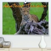 Abenteuer Tansania, Afrika(Premium, hochwertiger DIN A2 Wandkalender 2020, Kunstdruck in Hochglanz)