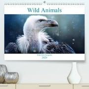 Wild Animals - Wilde Tiere(Premium, hochwertiger DIN A2 Wandkalender 2020, Kunstdruck in Hochglanz)