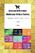 Cavapom 20 Milestone Challenges: Tricks & Training Cavapom Milestones for Tricks, Socialization, Agility & Training Volume 1