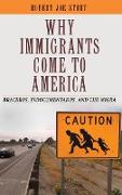 Why Immigrants Come to America