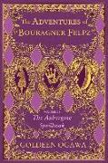The Adventures of Bouragner Felpz, Volume III: The Aubergine Spellbook