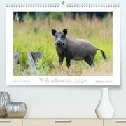 Wildschweine 2020(Premium, hochwertiger DIN A2 Wandkalender 2020, Kunstdruck in Hochglanz)