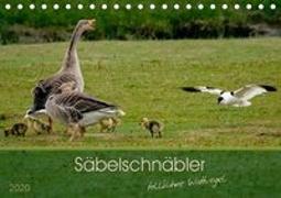 Säbelschnäbler - tollkühne Wattvögel (Tischkalender 2020 DIN A5 quer)