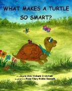 What Makes A Turtle So Smart?