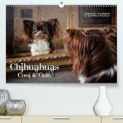 Chihuahuas - Cool & Cute / UK-Version(Premium, hochwertiger DIN A2 Wandkalender 2020, Kunstdruck in Hochglanz)