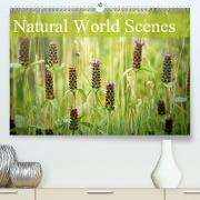 Natural World Scenes(Premium, hochwertiger DIN A2 Wandkalender 2020, Kunstdruck in Hochglanz)