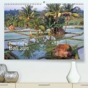 Peter Fischer - Bali 2020(Premium, hochwertiger DIN A2 Wandkalender 2020, Kunstdruck in Hochglanz)