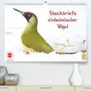 Steckbriefe einheimischer Vögel (Premium, hochwertiger DIN A2 Wandkalender 2020, Kunstdruck in Hochglanz)