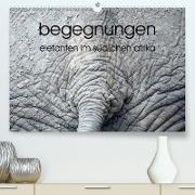 begegnungen - elefanten im südlichen afrika(Premium, hochwertiger DIN A2 Wandkalender 2020, Kunstdruck in Hochglanz)