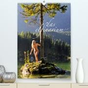 Das Elfinarium 2.0(Premium, hochwertiger DIN A2 Wandkalender 2020, Kunstdruck in Hochglanz)