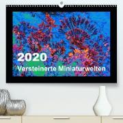 Versteinerte Miniaturwelten - Farbenspiele auf Solnhofener Plattenkalk(Premium, hochwertiger DIN A2 Wandkalender 2020, Kunstdruck in Hochglanz)