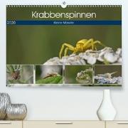 Krabbenspinnen - Kleine Monster(Premium, hochwertiger DIN A2 Wandkalender 2020, Kunstdruck in Hochglanz)