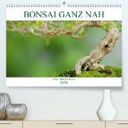 Bonsai ganz nah(Premium, hochwertiger DIN A2 Wandkalender 2020, Kunstdruck in Hochglanz)