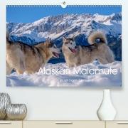 Alaskan Malamute in seinem Element(Premium, hochwertiger DIN A2 Wandkalender 2020, Kunstdruck in Hochglanz)