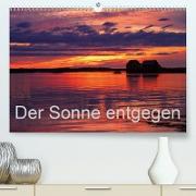 Der Sonne entgegen(Premium, hochwertiger DIN A2 Wandkalender 2020, Kunstdruck in Hochglanz)