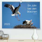 Ein Jahr bei den Störchen(Premium, hochwertiger DIN A2 Wandkalender 2020, Kunstdruck in Hochglanz)