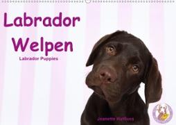 Labrador Welpen - Labrador Puppies (Wandkalender 2020 DIN A2 quer)