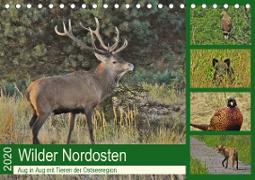 Wilder Nordosten - Aug in Aug mit Tieren der Ostseeregion (Tischkalender 2020 DIN A5 quer)