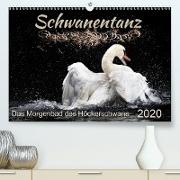 Das Morgenbad des Höckerschwans(Premium, hochwertiger DIN A2 Wandkalender 2020, Kunstdruck in Hochglanz)