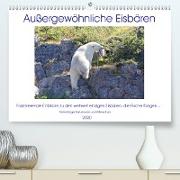 Das Leben der etwas "anderen" Eisbären!(Premium, hochwertiger DIN A2 Wandkalender 2020, Kunstdruck in Hochglanz)