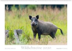 Wildschweine 2020 (Wandkalender 2020 DIN A2 quer)