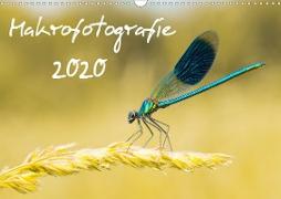 Makrofotografie Kalender 2020 (Wandkalender 2020 DIN A3 quer)