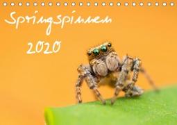 Springspinnen Kalender 2020 (Tischkalender 2020 DIN A5 quer)