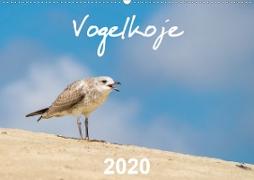 Vogelkoje 2020 (Wandkalender 2020 DIN A2 quer)