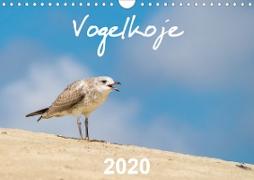 Vogelkoje 2020 (Wandkalender 2020 DIN A4 quer)