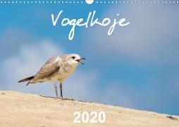 Vogelkoje 2020 (Wandkalender 2020 DIN A3 quer)