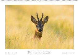 Rehwild 2020 (Wandkalender 2020 DIN A2 quer)