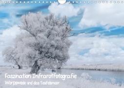 Faszination Infrarotfotografie (Wandkalender 2020 DIN A4 quer)