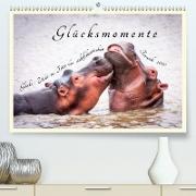 Glücksmomente Glücks-Zitate zu Fotos der großartigen südafrikanischen Tierwelt (Premium, hochwertiger DIN A2 Wandkalender 2020, Kunstdruck in Hochglanz)