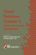 Visual Database Systems 3