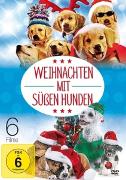 Weihnachten mit süssen Hunden